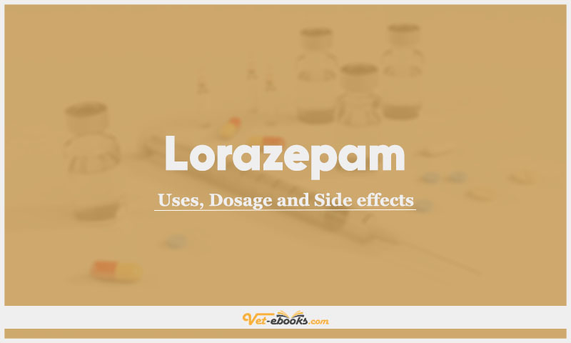 Lorazepam In Dogs & Cats: Uses, Dosage and Side Effects