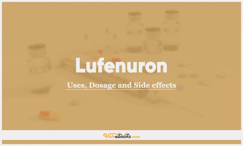 Lufenuron In Dogs & Cats: Uses, Dosage and Side Effects