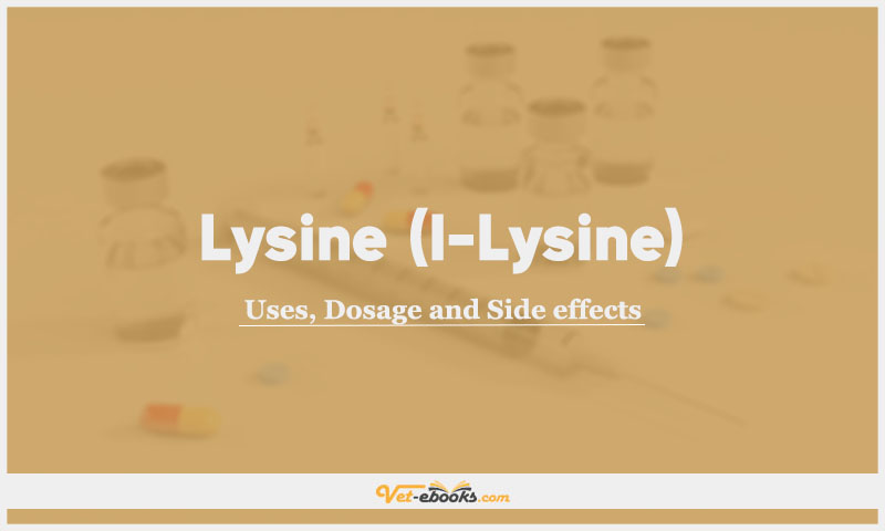 Lysine (l-Lysine) In Dogs & Cats: Uses, Dosage and Side Effects