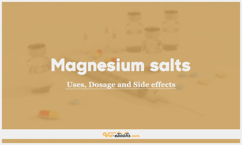 Magnesium salts In Dogs & Cats: Uses, Dosage and Side Effects