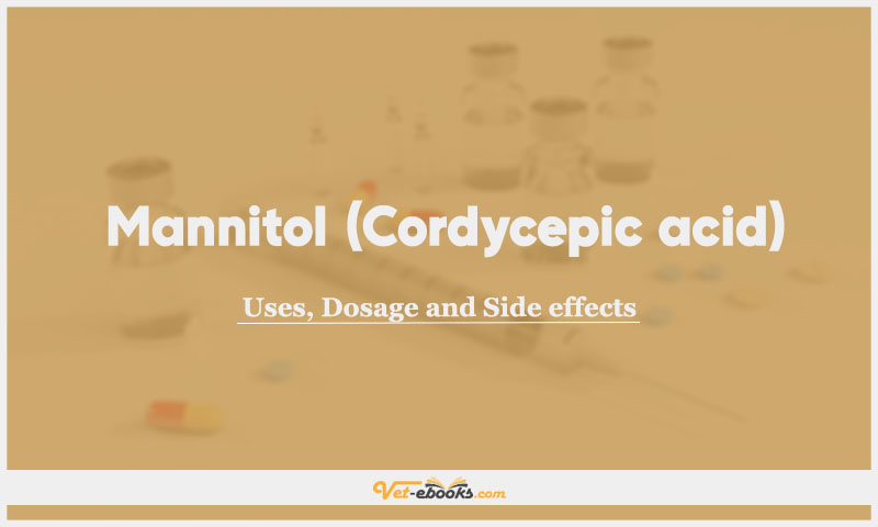 Mannitol (Cordycepic acid) In Dogs & Cats: Uses, Dosage and Side Effects