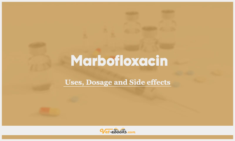 Marbofloxacin In Dogs & Cats: Uses, Dosage and Side Effects