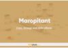 Maropitant In Dogs & Cats: Uses, Dosage and Side Effects