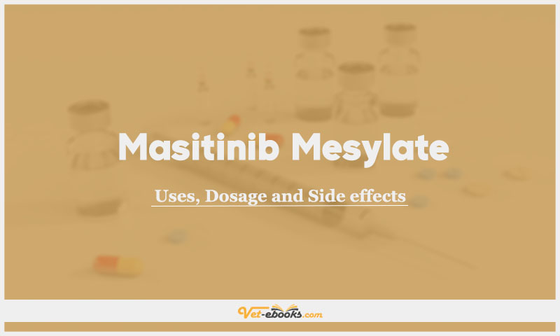 Masitinib Mesylate In Dogs & Cats: Uses, Dosage and Side Effects