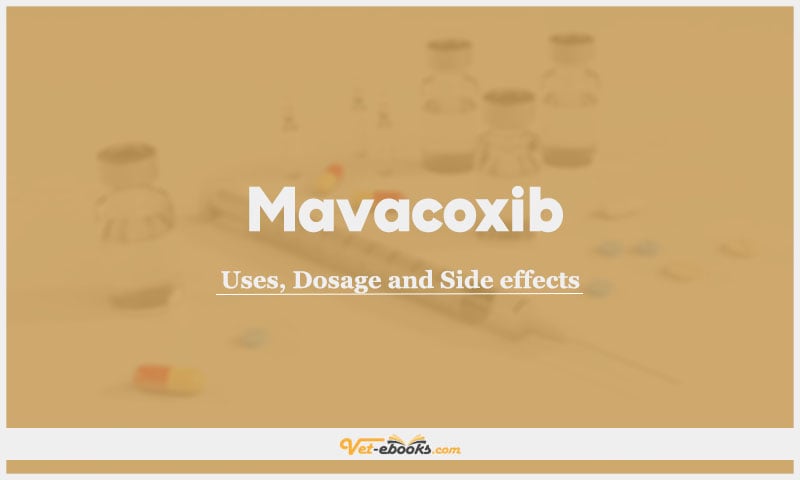 Mavacoxib In Dogs & Cats: Uses, Dosage and Side Effects