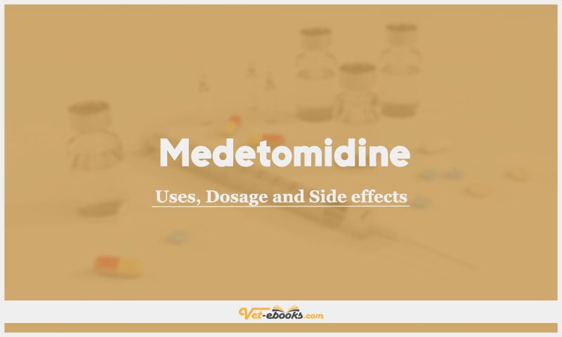 Medetomidine In Dogs & Cats: Uses, Dosage and Side Effects