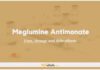 Meglumine Antimonate In Dogs & Cats: Uses, Dosage and Side Effects