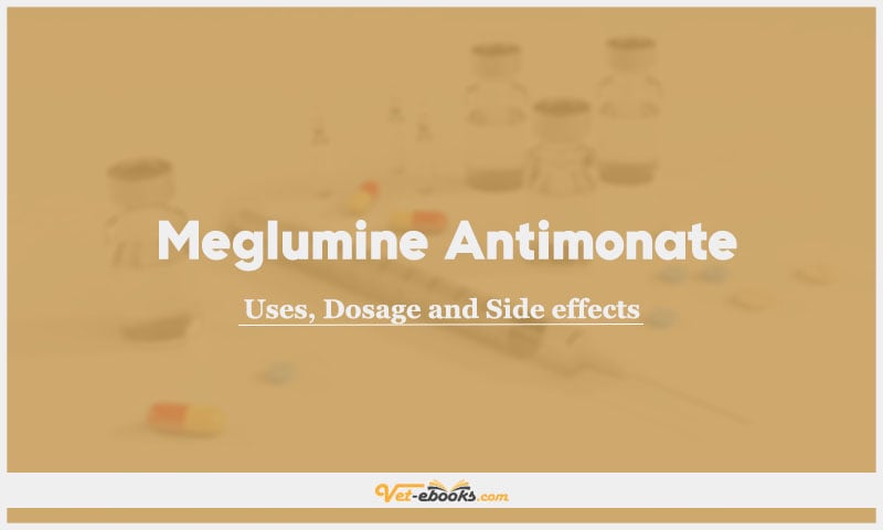 Meglumine Antimonate In Dogs & Cats: Uses, Dosage and Side Effects