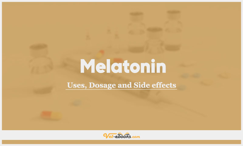 Melatonin In Dogs & Cats: Uses, Dosage and Side Effects