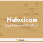 Meloxicam In Dogs & Cats: Uses, Dosage and Side Effects