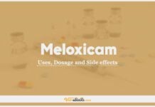 Meloxicam In Dogs & Cats: Uses, Dosage and Side Effects