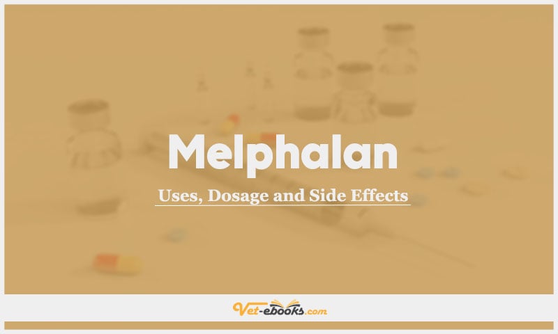 Melphalan In Dogs & Cats: Uses, Dosage and Side Effects