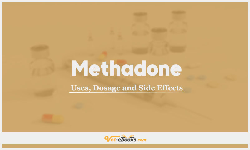 Methadone In Dogs & Cats: Uses, Dosage and Side Effects