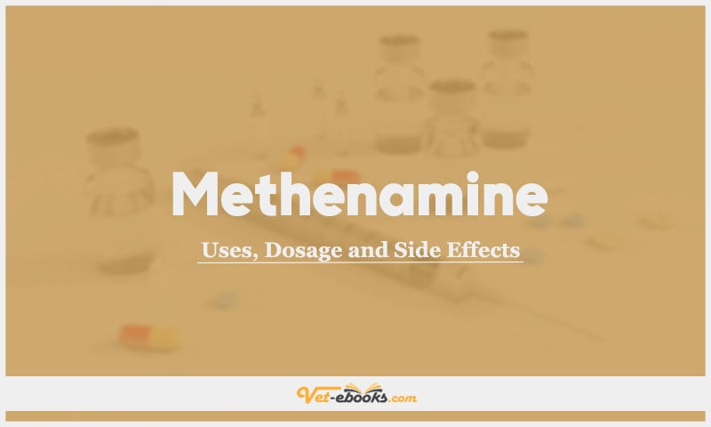 Methenamine (Hexamine hippurate) In Dogs & Cats: Uses, Dosage and Side Effects