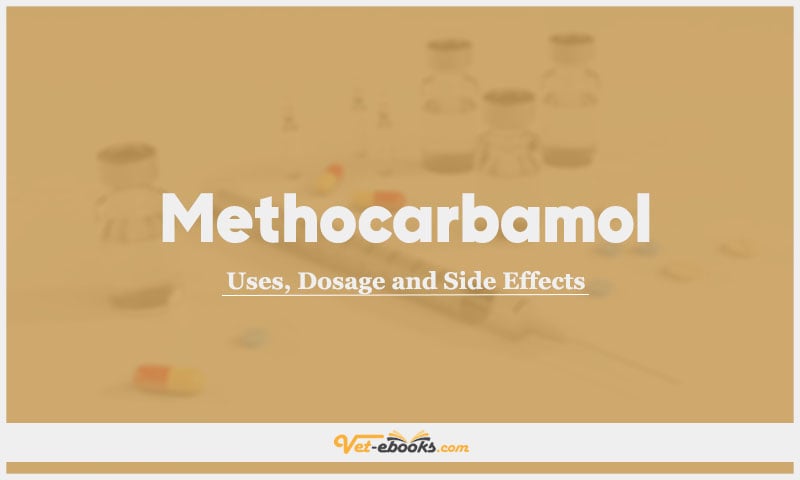 Methocarbamol In Dogs & Cats: Uses, Dosage and Side Effects