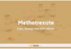 Methotrexate In Dogs & Cats: Uses, Dosage and Side Effects