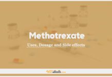 Methotrexate In Dogs & Cats: Uses, Dosage and Side Effects