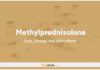 Methylprednisolone In Dogs & Cats: Uses, Dosage and Side Effects