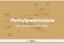 Methylprednisolone In Dogs & Cats: Uses, Dosage and Side Effects