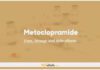 Metoclopramide In Dogs & Cats: Uses, Dosage and Side Effects