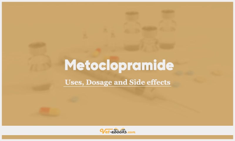 Metoclopramide In Dogs & Cats: Uses, Dosage and Side Effects