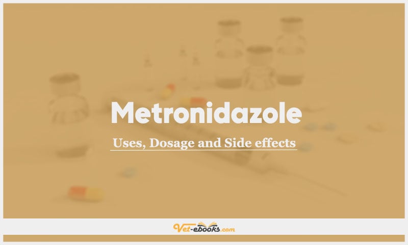 Metronidazole In Dogs & Cats: Uses, Dosage and Side Effects
