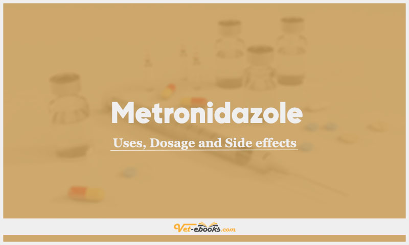 Metronidazole In Dogs & Cats: Uses, Dosage and Side Effects