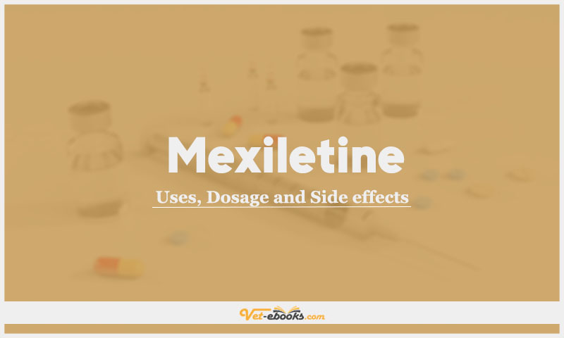 Mexiletine In Dogs & Cats: Uses, Dosage and Side Effects