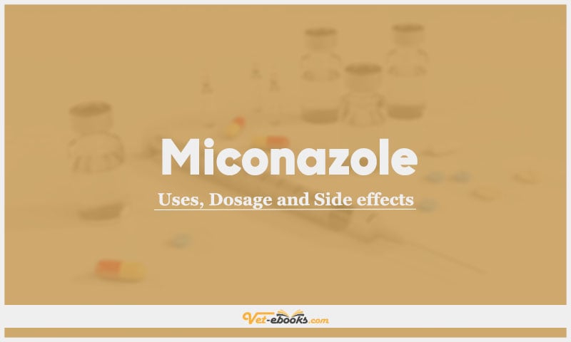 Miconazole In Dogs & Cats: Uses, Dosage and Side Effects