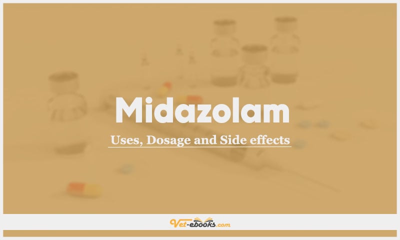 Midazolam In Dogs & Cats: Uses, Dosage and Side Effects