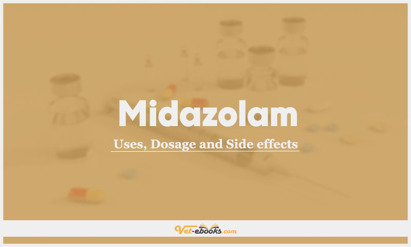 Midazolam In Dogs & Cats: Uses, Dosage and Side Effects