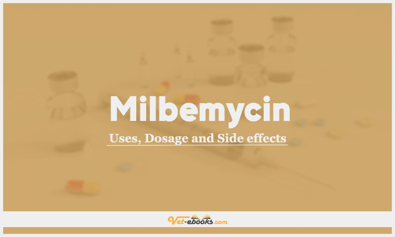 Milbemycin In Dogs & Cats: Uses, Dosage and Side Effects