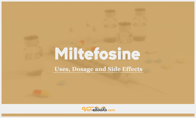 Miltefosine In Dogs & Cats: Uses, Dosage and Side Effects