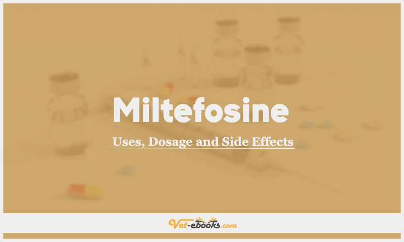 Miltefosine In Dogs & Cats: Uses, Dosage and Side Effects