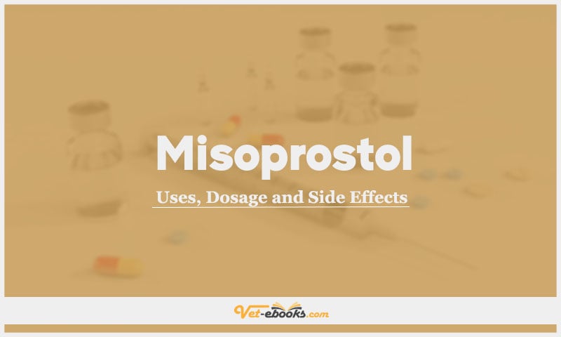 Misoprostol In Dogs & Cats: Uses, Dosage and Side Effects