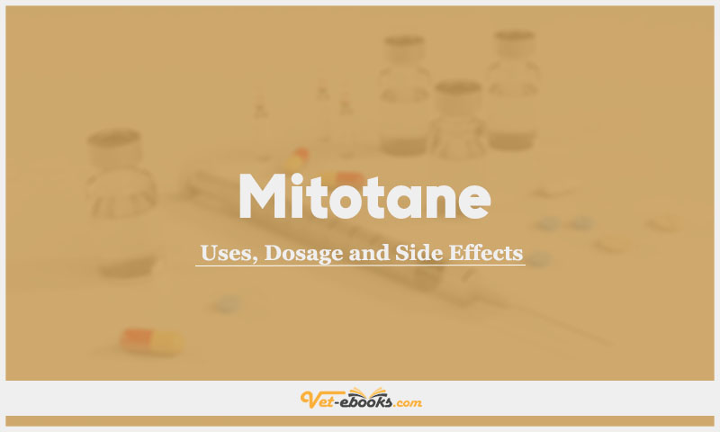 Mitotane (o,p'-DDD) In Dogs & Cats: Uses, Dosage and Side Effects