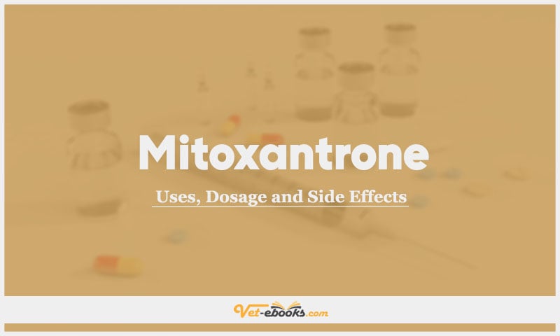Mitoxantrone In Dogs & Cats: Uses, Dosage and Side Effects