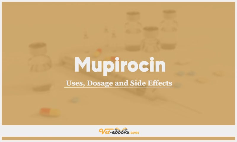 Mupirocin (Pseudomonic acid A) In Dogs & Cats: Uses, Dosage and Side Effects