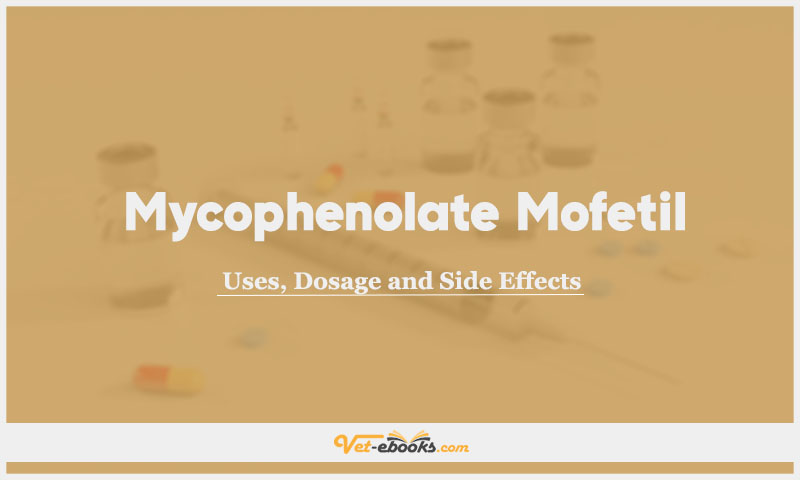 Mycophenolate Mofetil (MMF,
Mycophenolic acid) In Dogs & Cats: Uses, Dosage and Side Effects