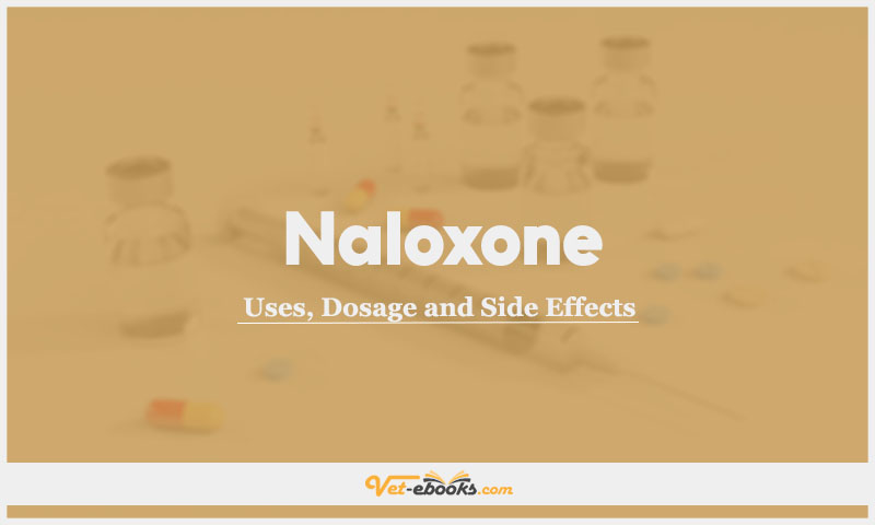 Naloxone In Dogs & Cats: Uses, Dosage and Side Effects