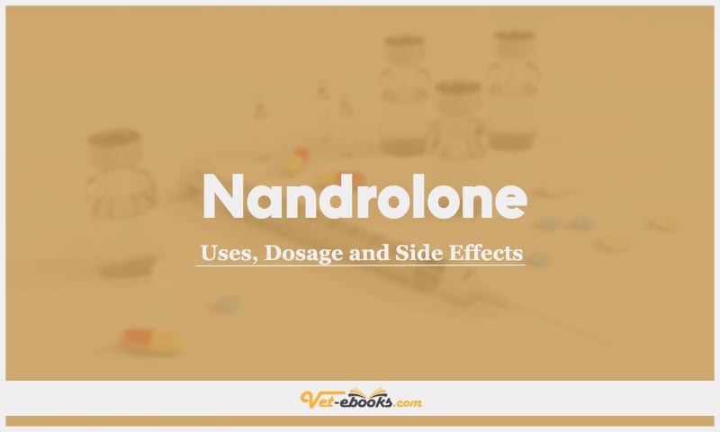 Nandrolone In Dogs & Cats: Uses, Dosage and Side Effects