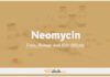 Neomycin In Dogs & Cats: Uses, Dosage and Side Effects