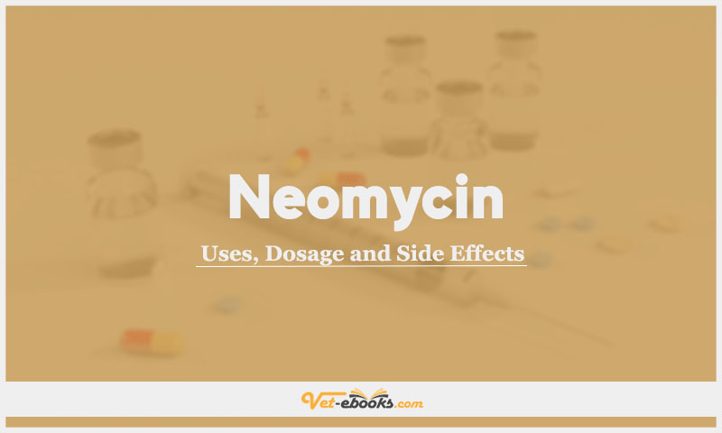 Neomycin In Dogs & Cats: Uses, Dosage and Side Effects