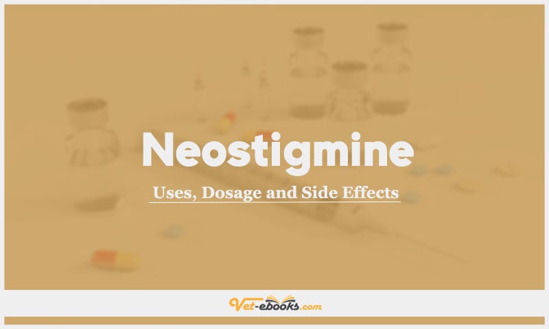 Neostigmine In Dogs & Cats: Uses, Dosage and Side Effects