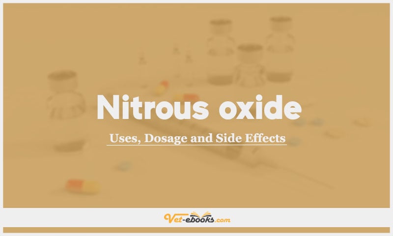 Nitrous oxide In Dogs & Cats: Uses, Dosage and Side Effects