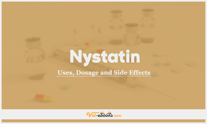 Nystatin In Dogs & Cats: Uses, Dosage and Side Effects