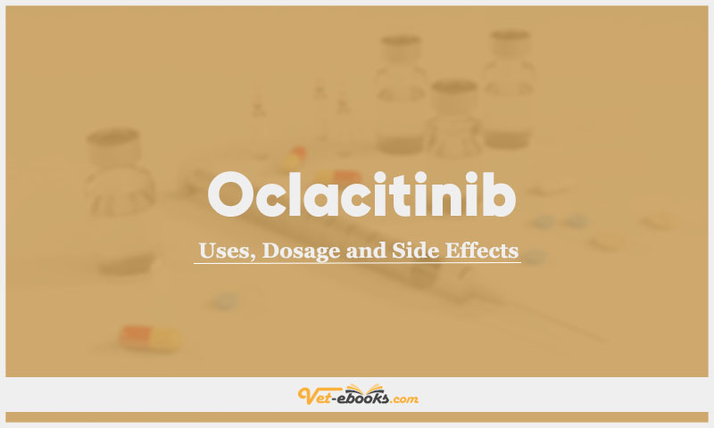 Oclacitinib In Dogs & Cats: Uses, Dosage and Side Effects