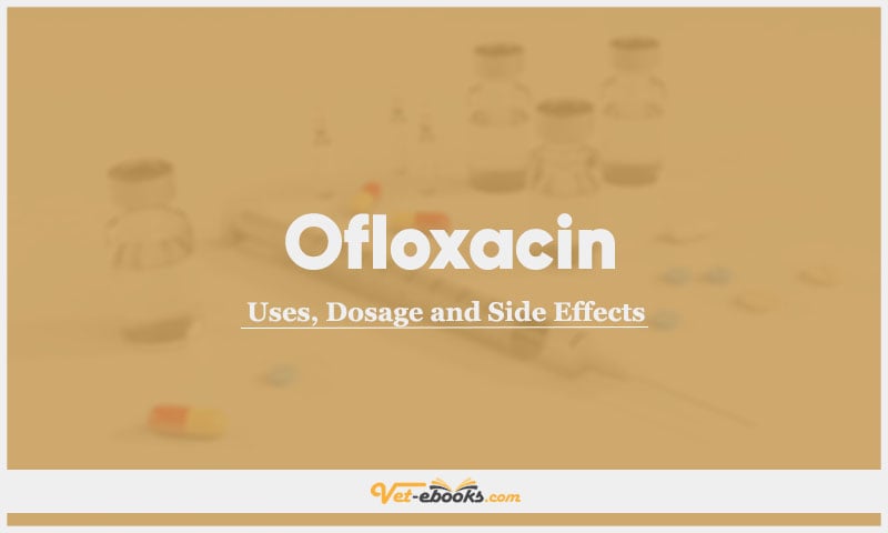 Ofloxacin In Dogs & Cats: Uses, Dosage and Side Effects