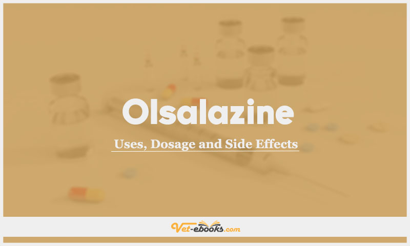 Olsalazine In Dogs & Cats: Uses, Dosage and Side Effects