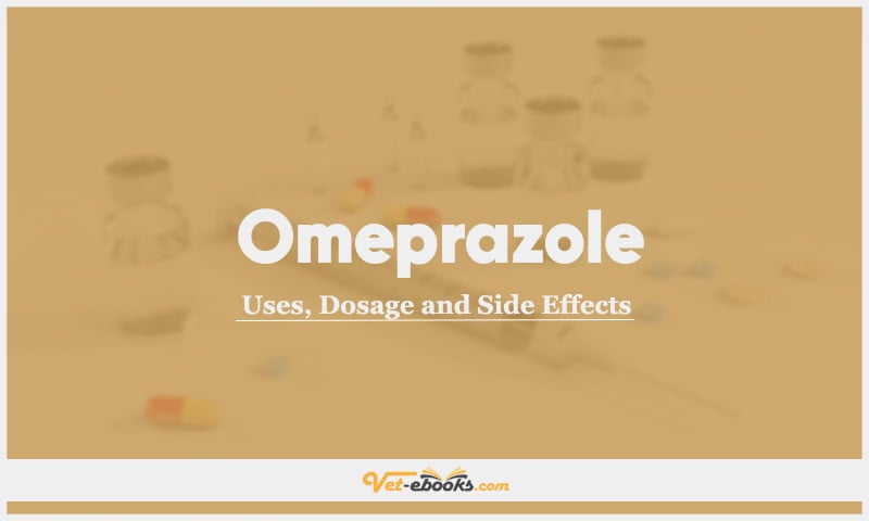 Omeprazole In Dogs & Cats: Uses, Dosage and Side Effects
